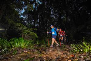 BIB: 
                            <button type="button" onclick="openModal(19245064)" class="btn btn-primary btn-sm float-right btn-popup" data-toggle="modal" data-target=".modal-high-quality">
                        <i class="fas fa-shopping-cart"></i> Add to Cart
                    </button>
                                            <button type="button" onclick="isThisMe(19245064, true)" class="btn btn-success btn-sm float-right btn-popup btn-isme hidden" data-toggle="tooltip" data-placement="bottom" title="นี่คือรูปของคุณใช่ไหม คลิกที่นี่เพื่อเอาเข้าอัลบั้ม">
                        <i class="fas fa-plus"></i> Add to album
                    </button>
                    <button type="button" onclick="isThisMe(19245064, false)" class="btn btn-warning btn-sm float-right btn-popup btn-isnotme hidden">
                        <i class="fas fa-ban"></i> Remove from album
                    </button>